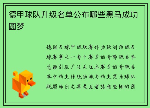 德甲球队升级名单公布哪些黑马成功圆梦