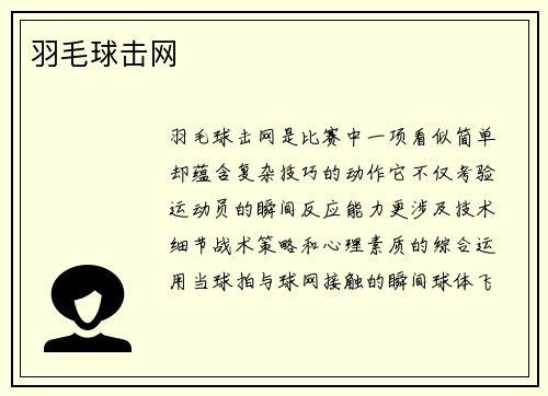 羽毛球击网